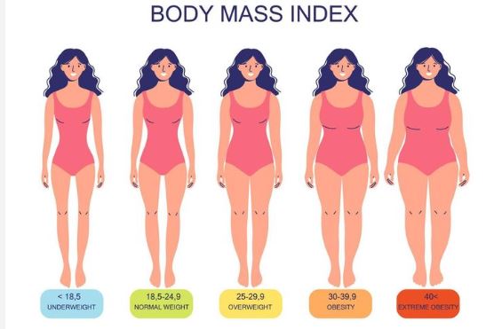 What is BMI Body Mass Index?