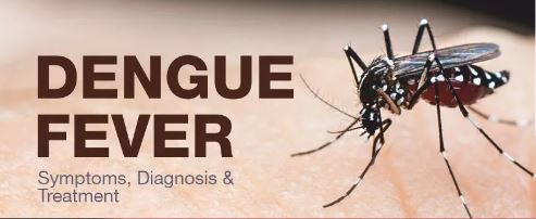 Dengue