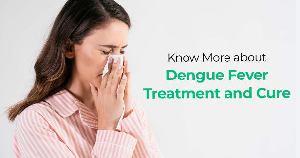 How Is Dengue Treated 2024?