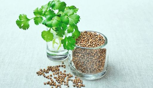 Benefits Of Coriander