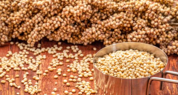 Benefits of Sorghum