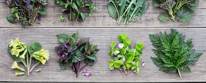 5 Benefits of Eating Wild Vegetables