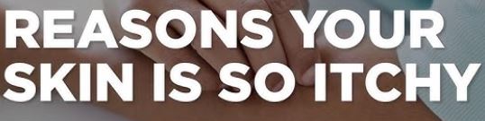 Main Causes of Itchy Body