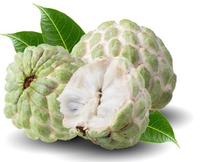 Benefits of Eating Custard Apple Sitafal