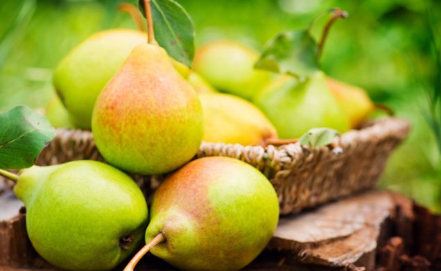 8 Best Ayurvedic Benefits of Pear