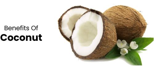 coconut