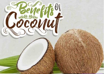 coconut