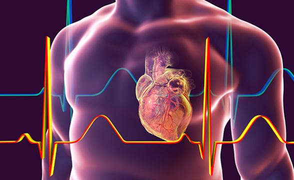 Correlation Between Painkillers and Heart Attacks