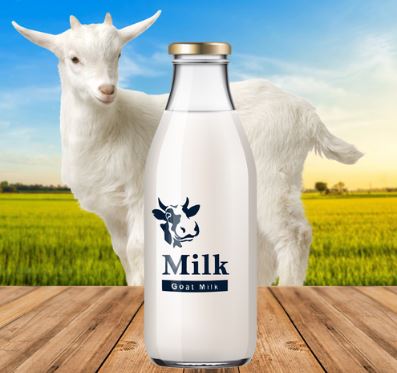 Benefits Of Goat Milk