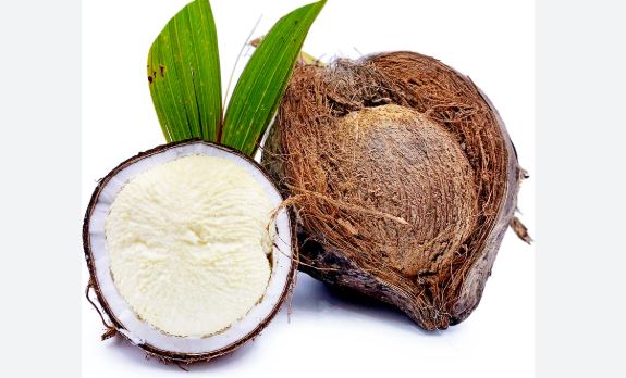 Sprouted Coconut